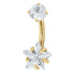 Belly Bar - Titanium Internal Thread Claw Set Twinkle Star Double Jewelled