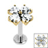 Titanium Internally Threaded Labrets 1.2mm - Titanium Claw Set Jewelled Heart Clover