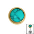 Titanium Bezel Set Turquoise Stone Top for Internal Thread shafts in 1.2mm