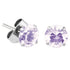 Steel Ear Stud Earrings - Claw Set Jewelled