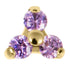 Gold Titanium Claw Set CZ Jewelled Trinity for Internal Thread shafts in 1.2mm