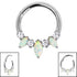 Titanium Anasia Claw Set Opal and Jewelled Hinged Clicker Ring