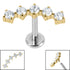 Titanium Internally Threaded Labrets 1.2mm - Titanium Floating 5 Jewel Curve