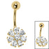 Belly Bar - Primrose Flower