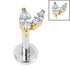 Titanium Internally Threaded Labrets 1.2mm - Titanium Claw Set Marquise Duo Top