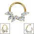 Titanium Claw Set Falling Leaves Marquise Hinged Clicker Ring