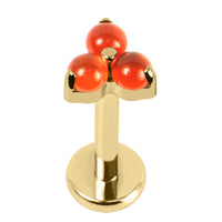 Titanium Internally Threaded Labrets 1.2mm - Titanium Claw Set Carnelian Trinity stone top