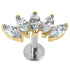Titanium Threadless Labrets - Titanium (Bend-fit) Claw Set 5 Jewelled Marquise Fan