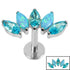 Titanium Threadless Labrets - Titanium (Bend-fit) (Infinity) Claw Set 5 Marquise Opal and Jewel Fan