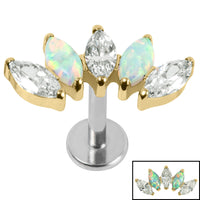 Titanium Threadless Labrets - Gold Titanium (Bend-fit) (Infinity) Claw Set 5 Marquise Opal and Jewel Fan