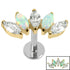 Titanium Threadless Labrets - Gold Titanium (Bend-fit) (Infinity) Claw Set 5 Marquise Opal and Jewel Fan