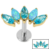 Titanium Threadless Labrets - Gold Titanium (Bend-fit) (Infinity) Claw Set 5 Marquise Opal and Jewel Fan