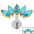 Titanium Threadless Labrets - Gold Titanium (Bend-fit) (Infinity) Claw Set 5 Marquise Opal and Jewel Fan