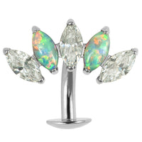 Titanium Threadless Floating Navel Bar - Titanium Claw Set 5 Opal and Jewel Marquise Fan 1.6mm