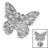 Steel Internal Monarch Butterfly Top