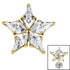 Titanium Internal Jewelled Galaxy Star Top