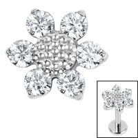 Titanium Internal Jewelled Golden Daisy Top