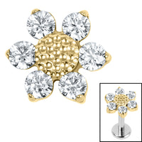 Titanium Internal Jewelled Golden Daisy Top