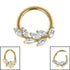 Titanium Marquise Jewelled Leaf Vine Hinged Clicker Ring