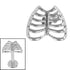 Titanium Caged Heart for Internal Thread shafts in 1.2mm