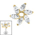 Titanium Internal Jewelled Catherine Wheel