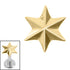 Titanium Internal Radiant Star