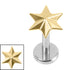 Titanium Internally Threaded Labrets 1.2mm - Titanium Radiant Star