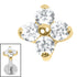 Titanium Internal Jewelled Ixora Flower