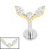 Titanium Internally Threaded Labrets 1.2mm - Titanium Winged Orb