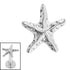 Titanium Internal Starfish