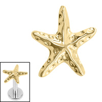 Titanium Internal Starfish