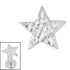 Titanium Internal Hammered Star