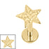 Titanium 1.2mm Internally Threaded Labrets - Hammered Star
