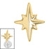Titanium Internal Astrid Star