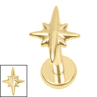 Titanium Internally Threaded Labrets 1.2mm - Titanium Astrid Star