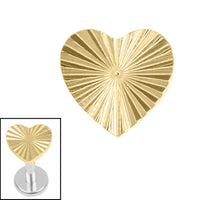 Titanium Internal Luminance Heart