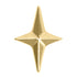 Titanium Threadless (Bend fit) Titanium Guiding Star