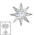 Titanium Internal Jewelled Wish Upon A Star