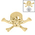 Titanium Internal Jolly Roger
