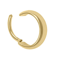 Titanium Reflection Hinged Clicker Ring