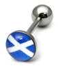 Steel Logo Tongue Bars (8mm Disk)