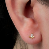 Titanium Internally Threaded Labrets 1.2mm - Jewelled Amsterdam Tulip