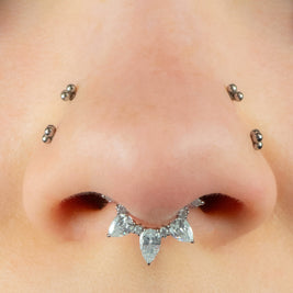 Titanium Anastasia Hinged Clicker Ring