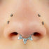 Titanium Anastasia Hinged Clicker Ring