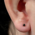 Titanium Bezel Set Black Agate Cone for Internal Thread shafts in 1.6mm. Also fits Dermal Anchor