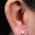 Titanium Internally Threaded Labrets 1.2mm - Titanium Cleopatra
