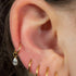 Titanium Hinged Clicker Ring with Titanium Jewelled Pear Drop Charm