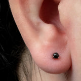 Titanium Internal Claw Set Black Agate Ball Top