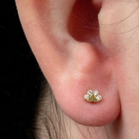 Titanium Internal Claw Set Jewelled Paw Print Top