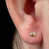 Titanium Internal Claw Set Jewelled Paw Print Top